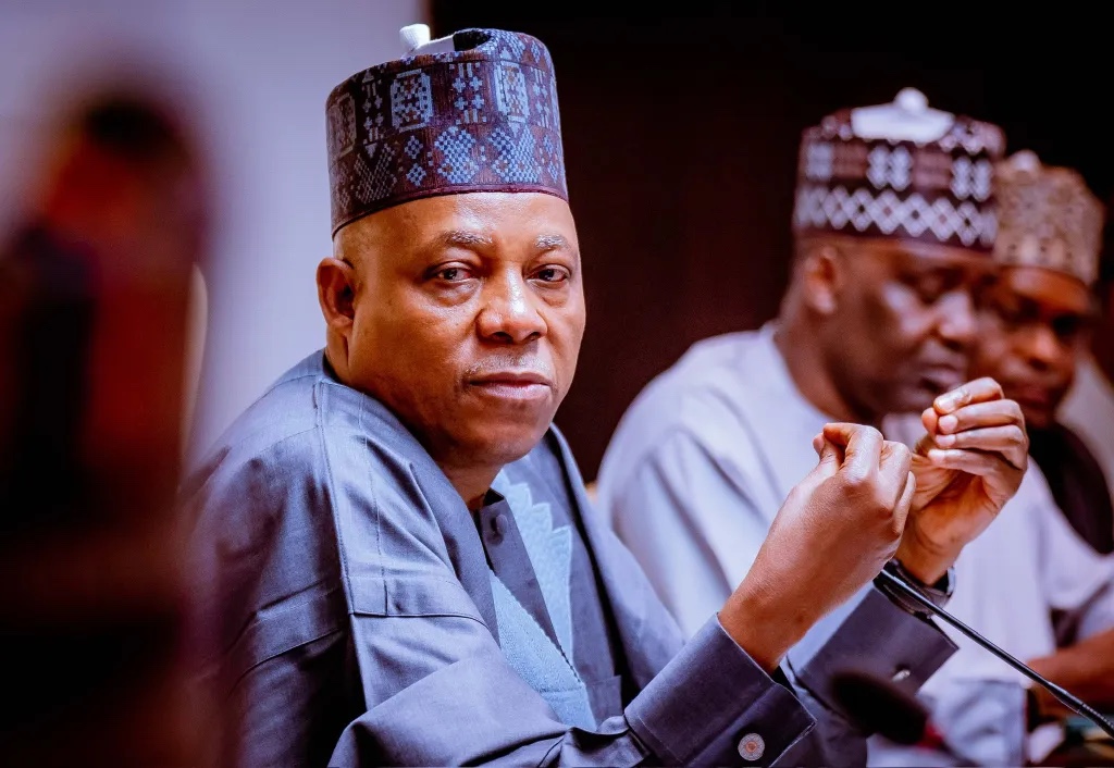 1m Youths To Benefit Digital Skills, Grants In New Initiative — Shettima