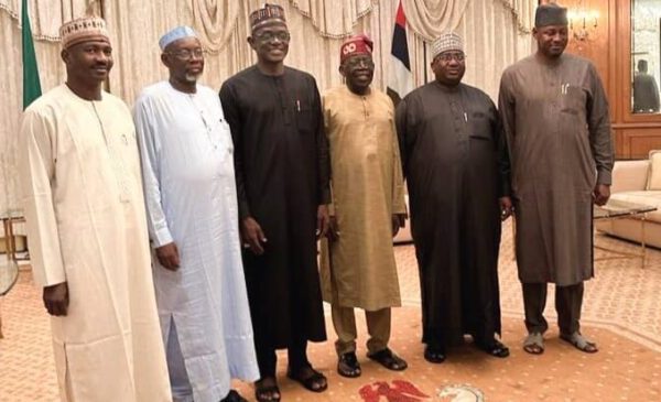 Coup: Tinubu meets Governors sharing boundaries with Niger