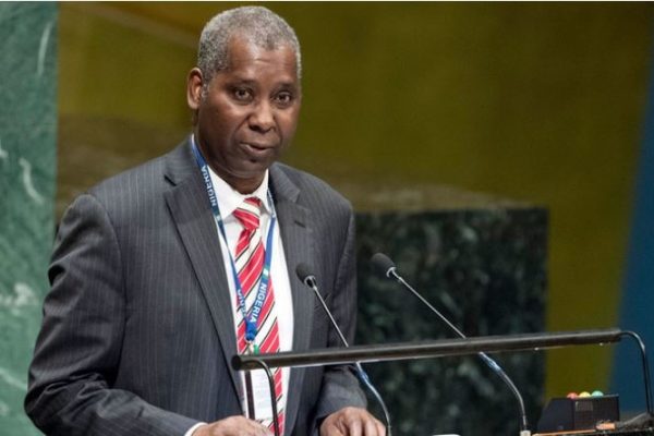 Nigeria to push for global tax resolution at UNGA