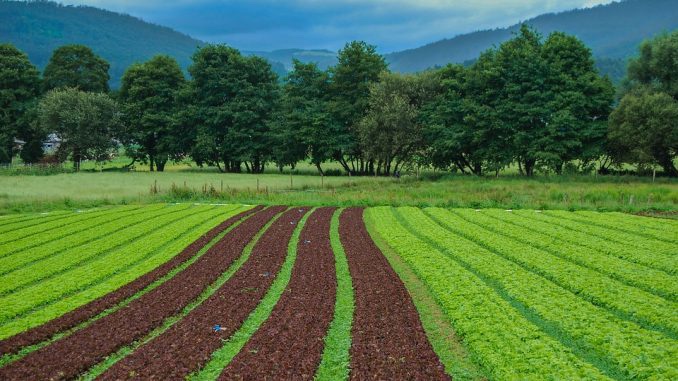 USAID Mobilises N188bn For Nigerian Agribusinesses In 7 States