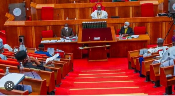 Declare state of emergency in substance abuse, Senate urges FG