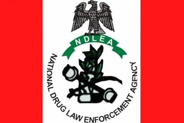 NDLEA intercepts Saudi Arabia-bound cocaine concealed in body cream