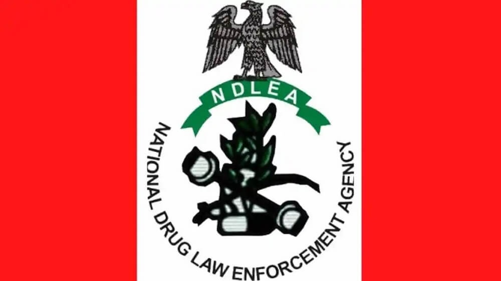 NDLEA intercepts Saudi Arabia-bound cocaine concealed in body cream