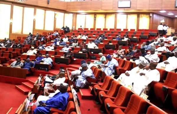 Senate pushes for increased allocation for constituency projects