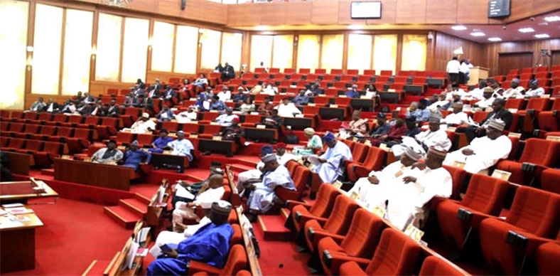 Senate pushes for increased allocation for constituency projects