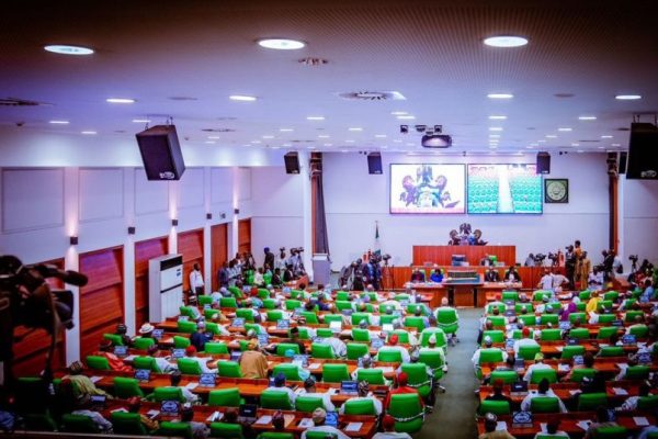 2024 budget: Reps summon finance minister, FIRS, others over revenue target