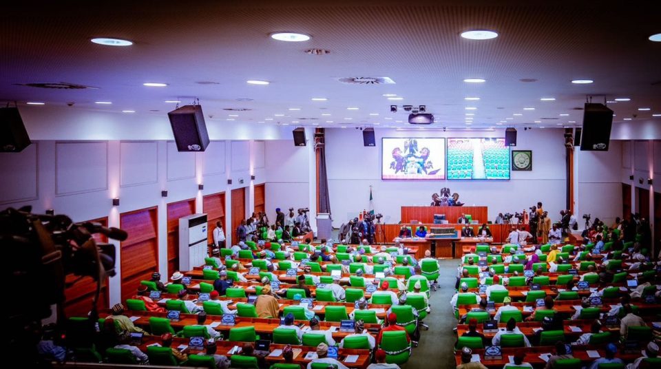 2024 budget: Reps summon finance minister, FIRS, others over revenue target