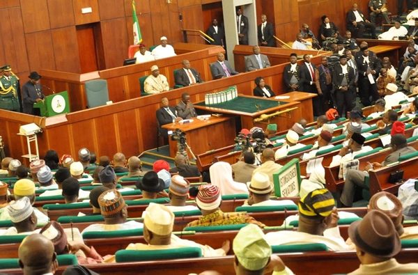 Reps’ll ensure speedy passage of 2024 budget, says lawmaker