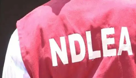 NDLEA seizes 1,458kgs illicit substances, arrests 103 suspects in Kaduna