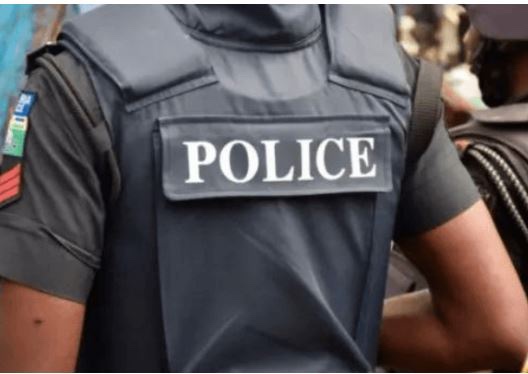 Police return rescued trafficked children to Bauchi