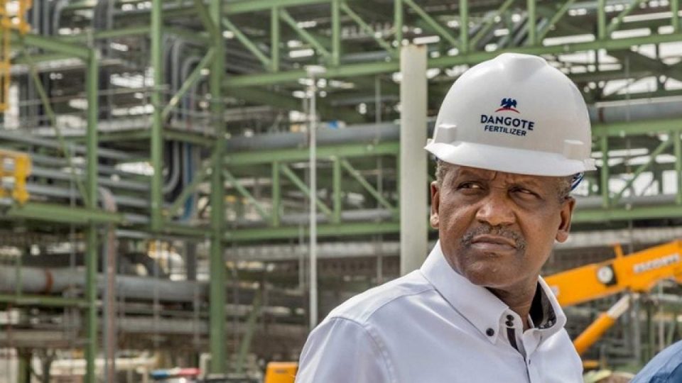 Tinubu encouraged me to start refinery – Dangote