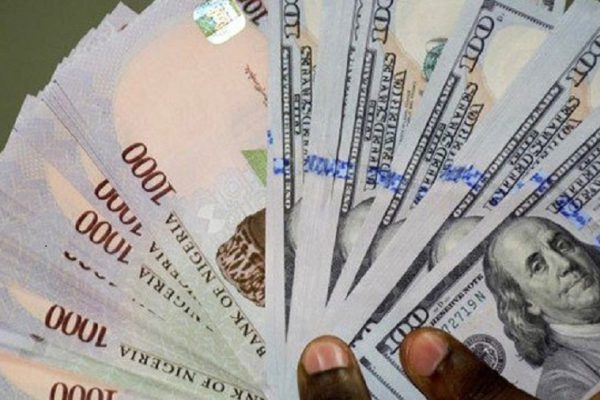 FG seeks $10bn to stabilise exchange rate as naira tumble