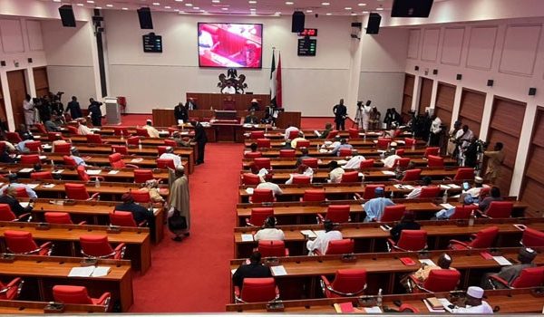 Stop Planned Removal Of Electricity Subsidy, Senate Urges FG