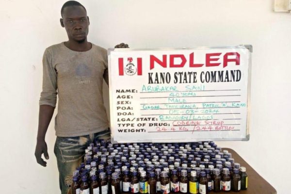 NDLEA busts two illicit drug factories in Osun, Lagos