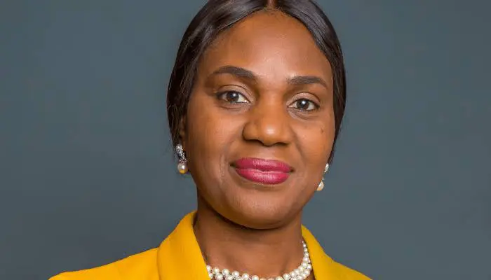 NBSS appoints new MD, COO for subsidiary, AfriGOPay
