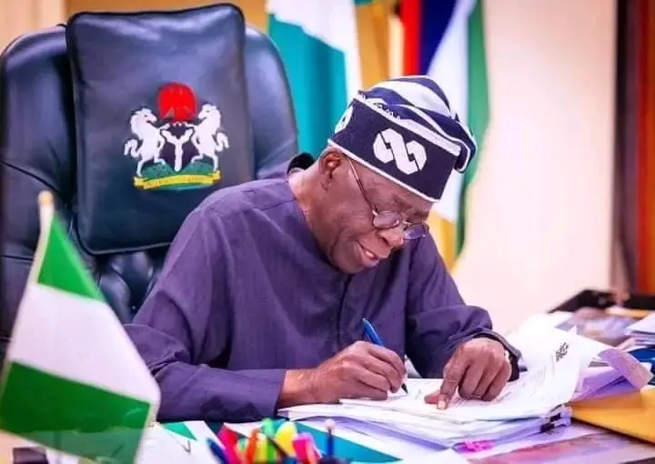 Tinubu appoints Gbeleyi as DG of BPE