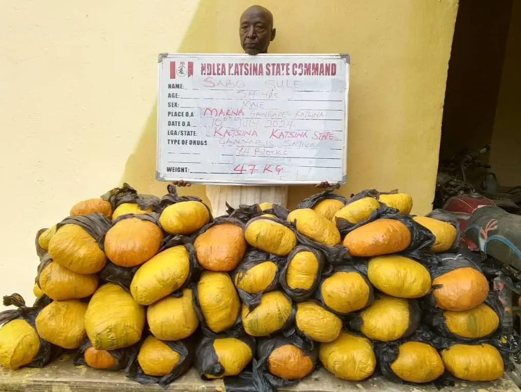 NDLEA intercepts US, UK, Europe-bound cocaine, opioids concealed in shoe soles, clothes in Lagos