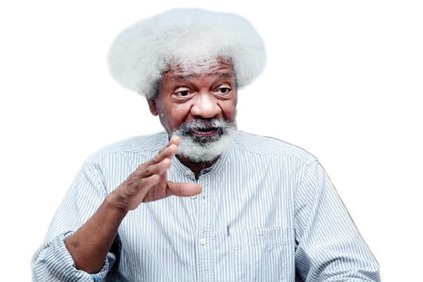 Tinubu names National Theatre after Wole Soyinka