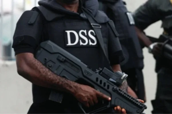 We have identified sponsors of August 1 protest – DSS warns against action