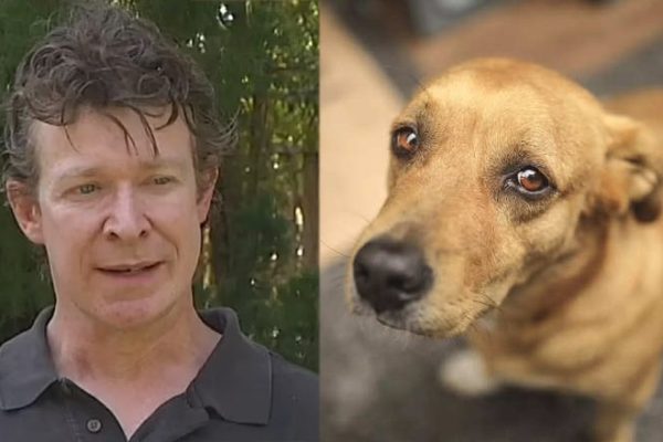 Zoo expert bags 10 years imprisonment for sexually abusing dozens of dogs