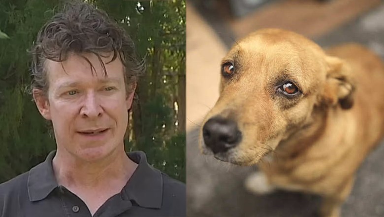 Zoo expert bags 10 years imprisonment for sexually abusing dozens of dogs
