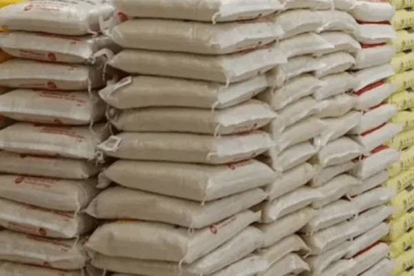 40k bag rice: Nigerians lament inability to access point of sales