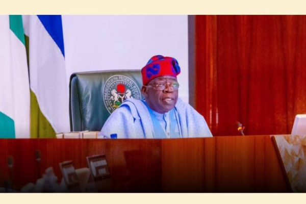 Tinubu to present N47.96trn 2025 budget proposal to NASS Wednesday – FEC