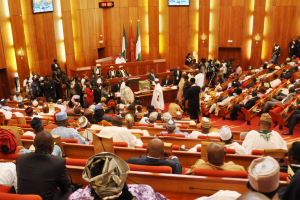 Drama as Senate grils AIG over 3,907 missing assault riffles