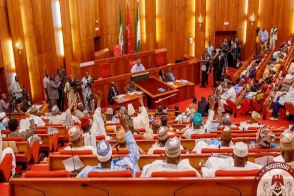 Senate to report CBN, FIRS, Customs to Tinubu for snubbing summons