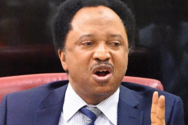 Natasha vs Akpabio: ‘Why recalling a senator is very expensive’ – Shehu Sani