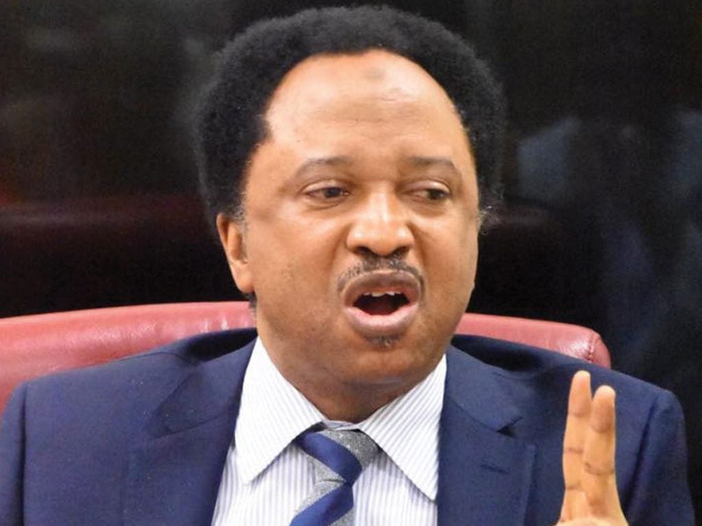 Natasha vs Akpabio: ‘Why recalling a senator is very expensive’ – Shehu Sani