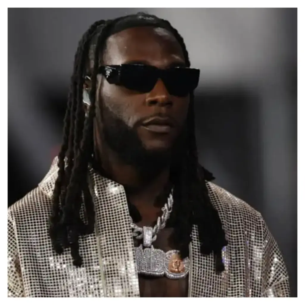 Musical success in Nigeria not worth celebrating – Burna Boy