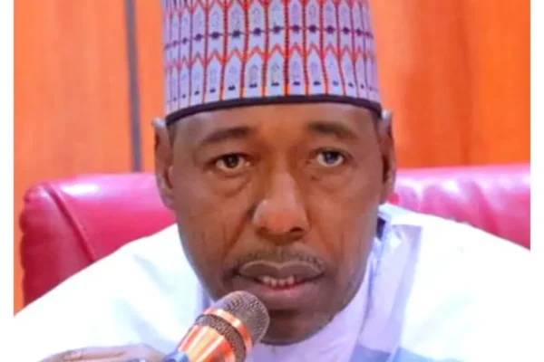 Politicians, military officers among Boko Haram informants, collaborators – Zulum