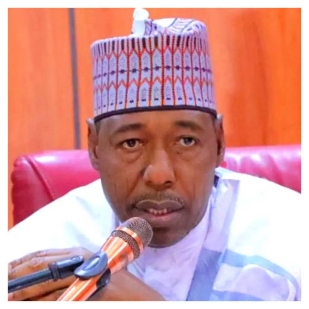 Politicians, military officers among Boko Haram informants, collaborators – Zulum