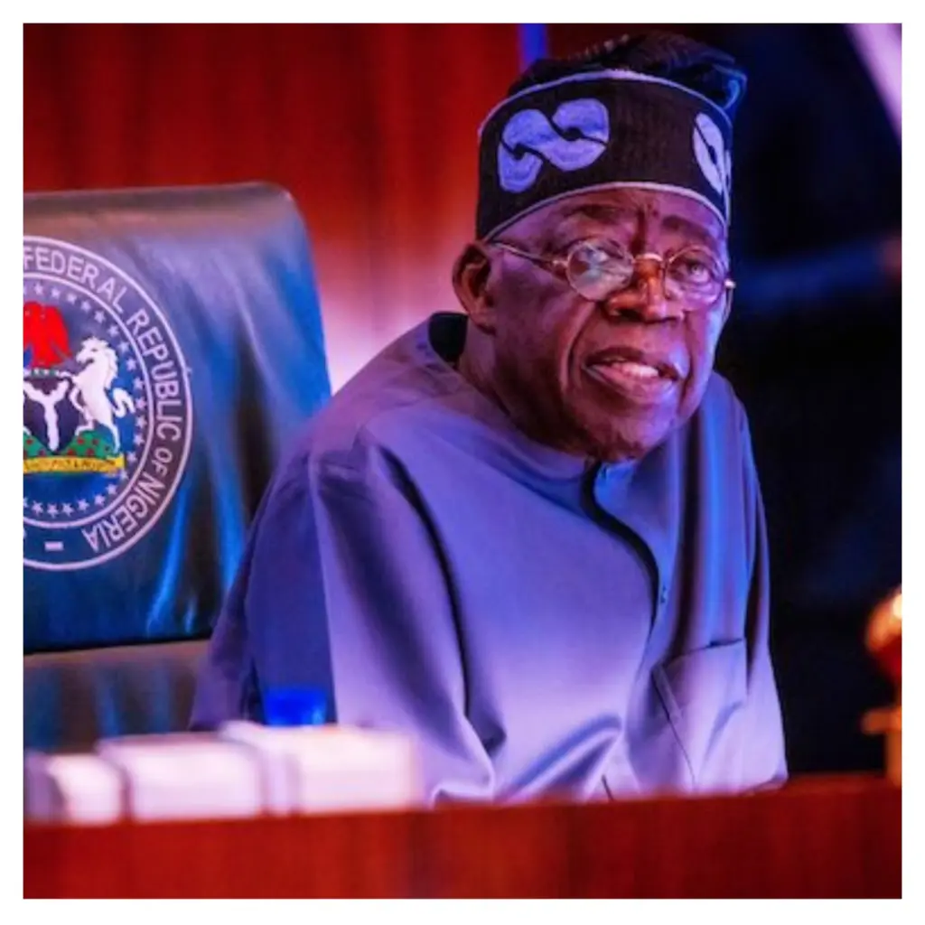 Tinubu bans importation of foreign goods, unveils new industrialisation policy