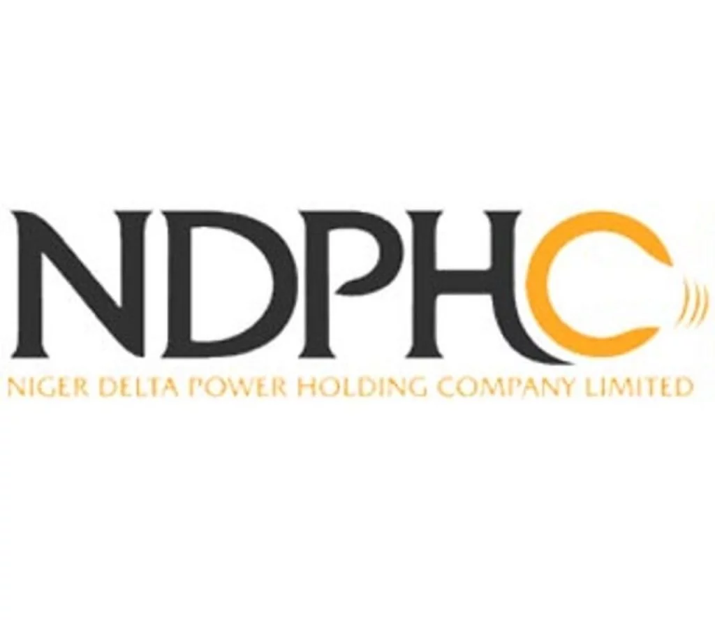 2,000MW electricity generation capacity stranded due to N600bn debt – NDPHC