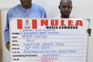 NDLEA busts syndicate, arrests three suspects sponsoring pilgrims with cocaine to hajj in Kano
