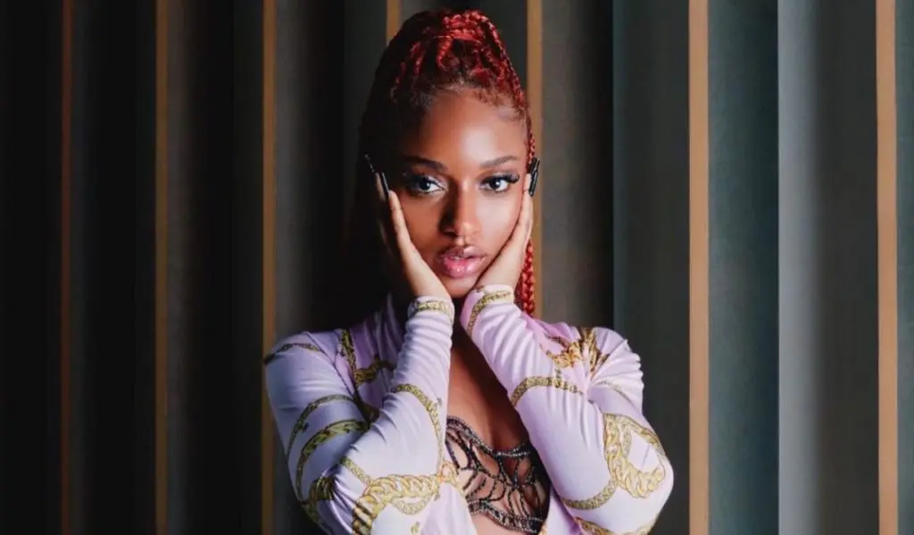 Ayra Starr cries out over online bullying