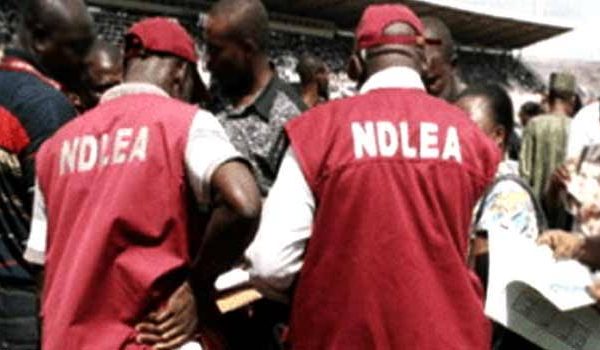 NDLEA nab Kwara poly student over drug sales