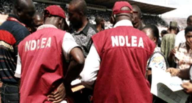 NDLEA nab Kwara poly student over drug sales