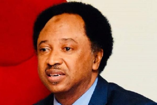 2027: North must support Tinubu to complete 8yrs, he did well – Shehu Sani