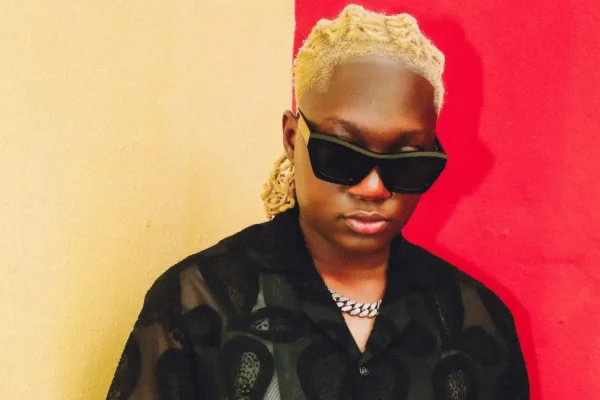 ‘I’m ready to have kids, but don’t want to carry babies with my womb’ – Darkoo