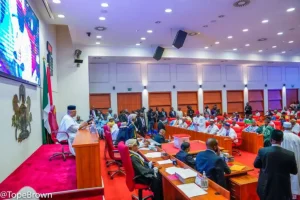 2027: Details of Senate’s dramatic Tuesday plenary over election date, electronic transmission