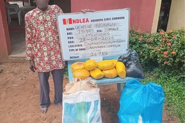 NDLEA arrests 75-year-old grandpa, destroys 178,000kg cannabis in nationwide raids