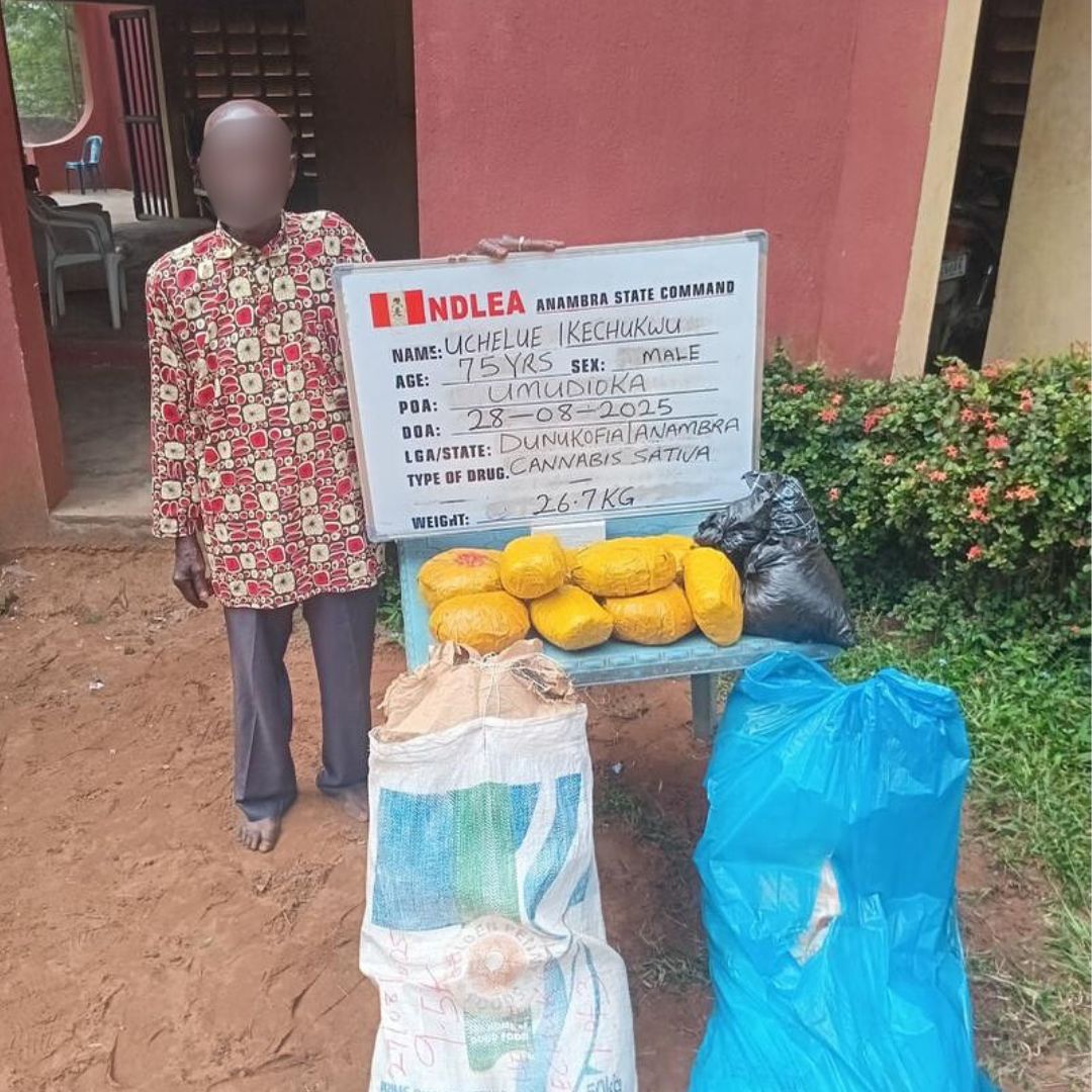 NDLEA arrests 75-year-old grandpa, destroys 178,000kg cannabis in nationwide raids