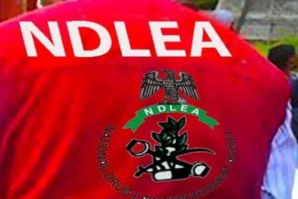 NDLEA smashes drug cartel, seizes N5.3bn Australia-bound cocaine