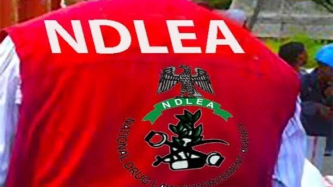 NDLEA smashes drug cartel, seizes N5.3bn Australia-bound cocaine