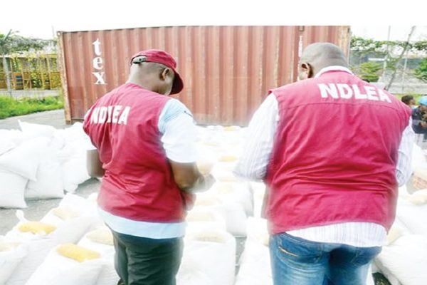 NDLEA nabs man with 8,000 bottles of drug-laced herbal mixture, cannabis