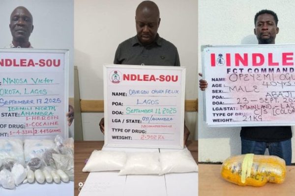 NDLEA nabs two drug lords with cocaine, heroin