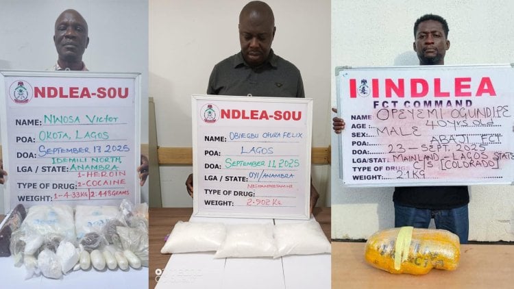 NDLEA nabs two drug lords with cocaine, heroin